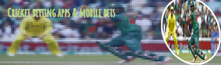 Line cricket betting