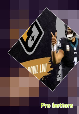 Top bets for super bowl